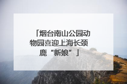 烟台南山公园动物园喜迎上海长颈鹿“新娘”
