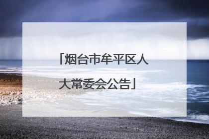 烟台市牟平区人大常委会公告