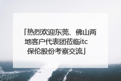 热烈欢迎东莞、佛山两地客户代表团莅临itc保伦股份考察交流
