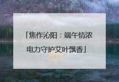 焦作沁阳：端午情浓 电力守护艾叶飘香