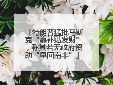 特朗普猛批马斯克“靠补贴发财”，称其若无政府资助“早回南非”