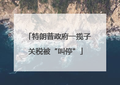 特朗普政府一揽子关税被“叫停”