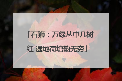 石狮：万绿丛中几树红 湿地荷塘韵无穷