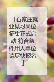 石家庄就业见习岗位征集正式启动 符合条件用人单位请尽快报名