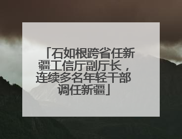 石如根跨省任新疆工信厅副厅长，连续多名年轻干部调任新疆