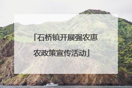 石桥镇开展强农惠农政策宣传活动