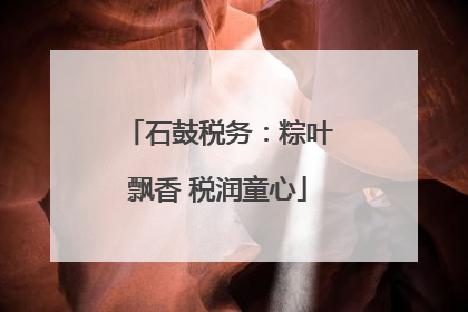 石鼓税务：粽叶飘香 税润童心