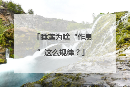 睡莲为啥“作息”这么规律？