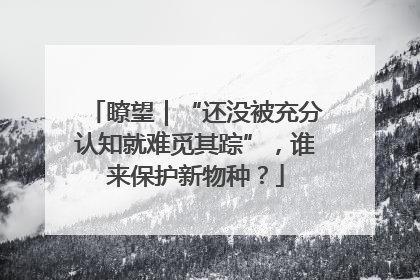 瞭望｜“还没被充分认知就难觅其踪”，谁来保护新物种？