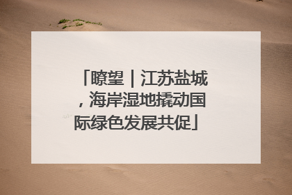 瞭望｜江苏盐城，海岸湿地撬动国际绿色发展共促