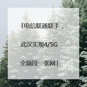 电信联通联手，武汉实现4/5G全频段一张网