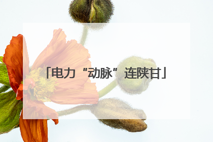 电力“动脉”连陕甘