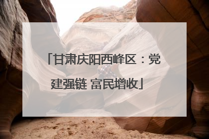 甘肃庆阳西峰区：党建强链 富民增收
