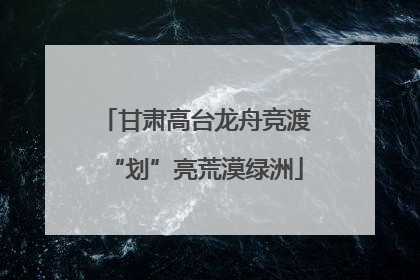 甘肃高台龙舟竞渡“划”亮荒漠绿洲