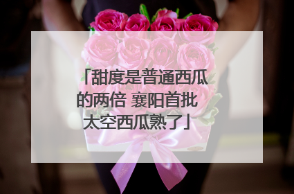 甜度是普通西瓜的两倍 襄阳首批太空西瓜熟了