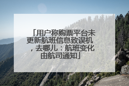 用户称购票平台未更新航班信息致误机，去哪儿：航班变化由航司通知