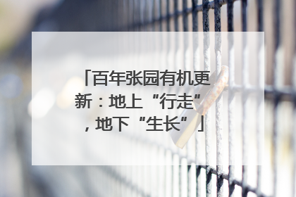 百年张园有机更新：地上“行走”，地下“生长”