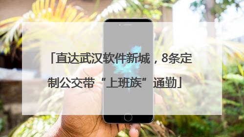 直达武汉软件新城，8条定制公交带“上班族”通勤