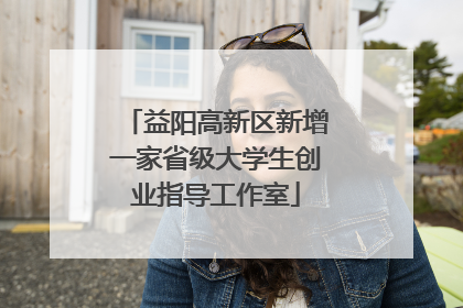益阳高新区新增一家省级大学生创业指导工作室