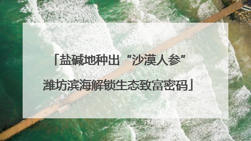 盐碱地种出“沙漠人参” 潍坊滨海解锁生态致富密码