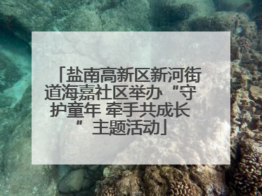盐南高新区新河街道海嘉社区举办“守护童年 牵手共成长”主题活动
