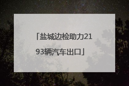 盐城边检助力2193辆汽车出口