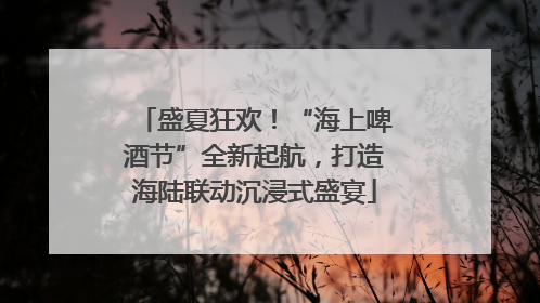 盛夏狂欢！“海上啤酒节”全新起航，打造海陆联动沉浸式盛宴