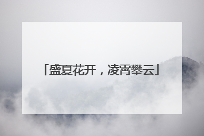 盛夏花开，凌霄攀云