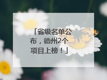 省级名单公布，德州2个项目上榜！