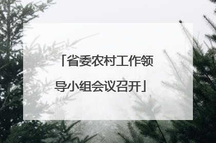 省委农村工作领导小组会议召开