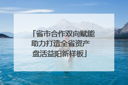 省市合作双向赋能 助力打造全省资产盘活益阳新样板