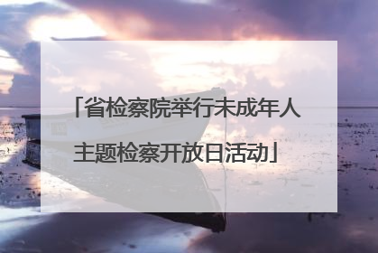 省检察院举行未成年人主题检察开放日活动