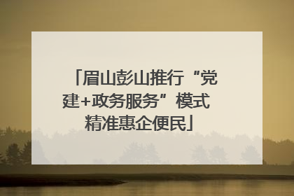 眉山彭山推行“党建+政务服务”模式 精准惠企便民