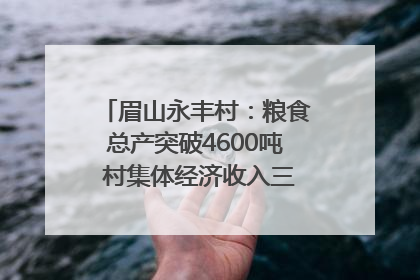 眉山永丰村：粮食总产突破4600吨 村集体经济收入三年倍增｜牵挂的村