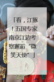 看，江豚！五国专家南京江边考察邂逅“微笑天使”