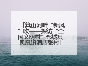 箕山河畔“新风”吹——探访“全国文明村”鄄城县凤凰镇酒店张村