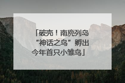 破壳！南麂列岛“神话之鸟”孵出今年首只小雏鸟
