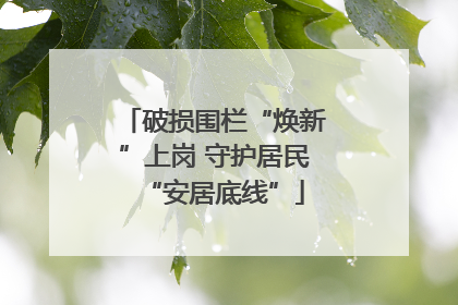 破损围栏“焕新”上岗 守护居民“安居底线”