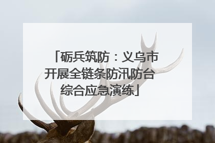 砺兵筑防：义乌市开展全链条防汛防台综合应急演练