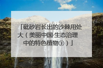 砒砂岩长出的沙棘用处大（美丽中国·生态治理中的特色植物③）