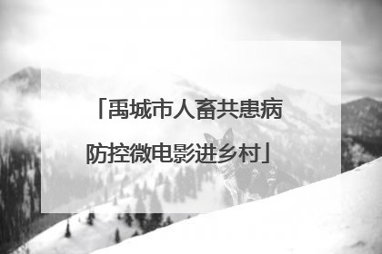 禹城市人畜共患病防控微电影进乡村