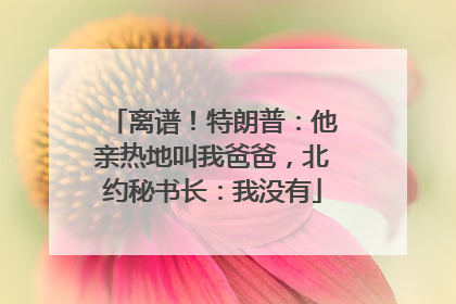 离谱！特朗普：他亲热地叫我爸爸，北约秘书长：我没有