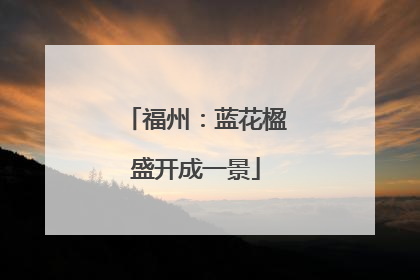 福州：蓝花楹盛开成一景