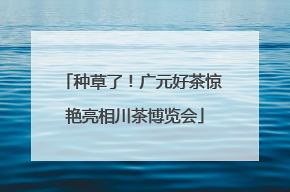 种草了！广元好茶惊艳亮相川茶博览会