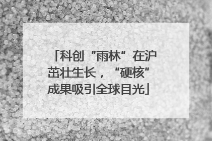 科创“雨林”在沪茁壮生长，“硬核”成果吸引全球目光