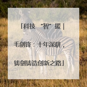 科技 “智”援｜毛剑锋：十年深耕，铸剑铸造创新之路