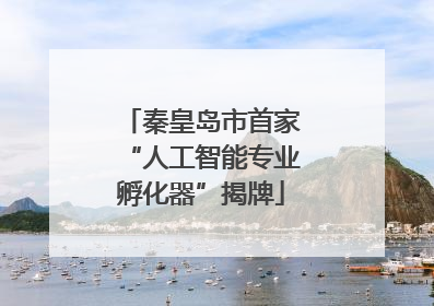 秦皇岛市首家“人工智能专业孵化器”揭牌