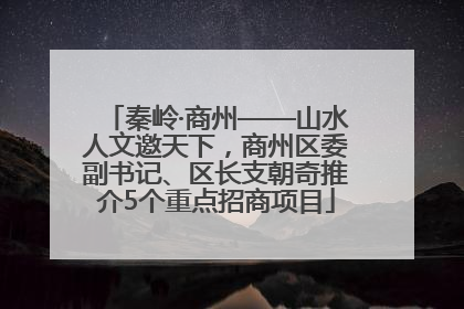 秦岭·商州——山水人文邀天下，商州区委副书记、区长支朝奇推介5个重点招商项目