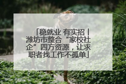 稳就业 有实招丨潍坊市整合“家校社企”四方资源，让求职者找工作不孤单