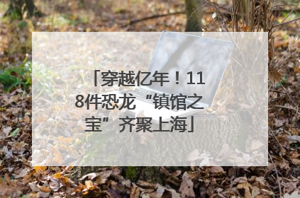 穿越亿年！118件恐龙“镇馆之宝”齐聚上海